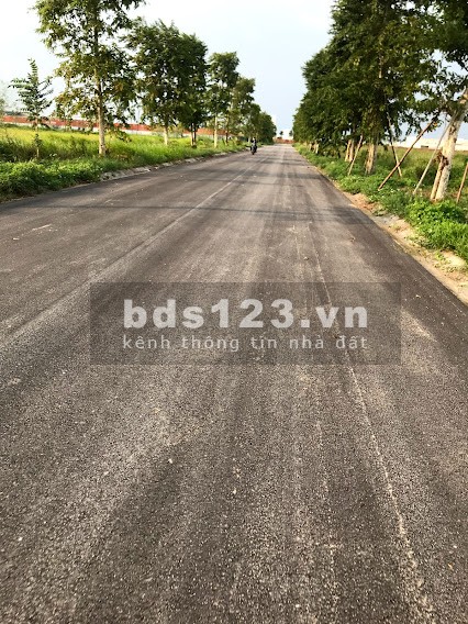 Bán 120m2 giá bán 2.8 tỷ mặt sau đường 69 dự án New City Phố Nối, giá tốt đầu tư
