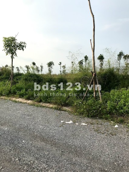 Bán 120m2 giá bán 2.8 tỷ mặt sau đường 69 dự án New City Phố Nối, giá tốt đầu tư