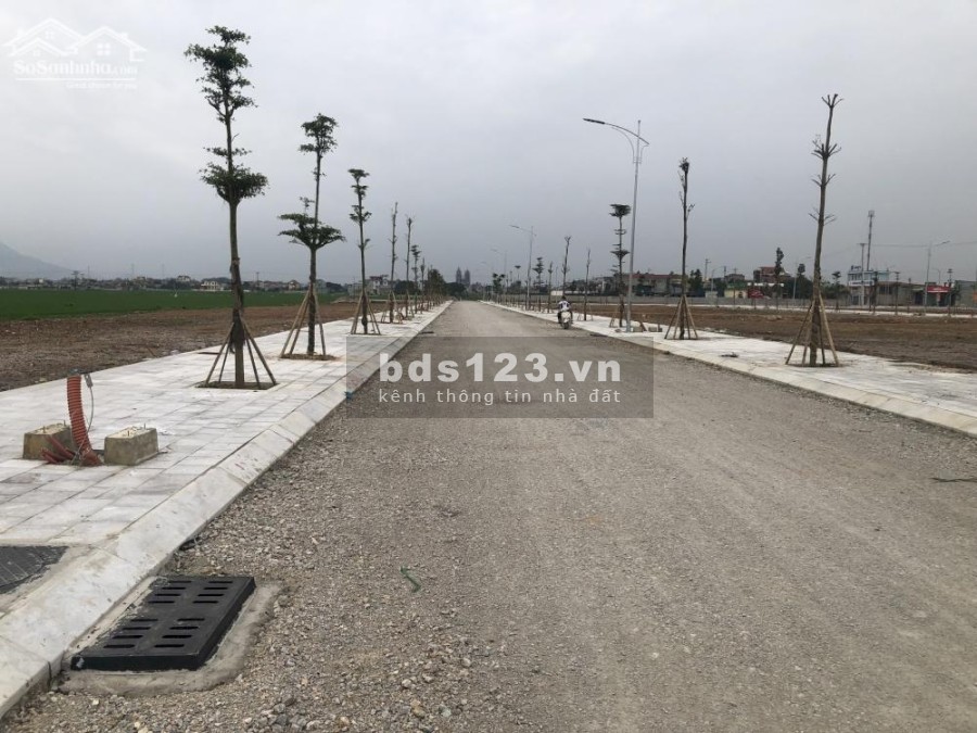 Mở bán độc quyền 100 lô Triệu Sơn giai đoạn 1 thanh toán linh hoạt, bàn giao vào ở ngay