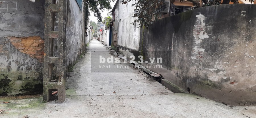 Chủ gửi bán 80m Thụy Lâm, huyện Đông Anh, sổ đỏ chính chủ, liên hệ xem đất 0972475705