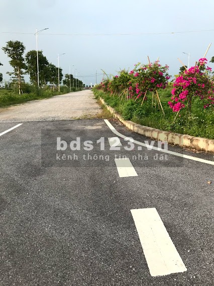 Bán lô đất diện tích 102m2, giá bán 1.7 tỷ, mặt sau đường 61 dự án New City Phố Nối, giá tốt
