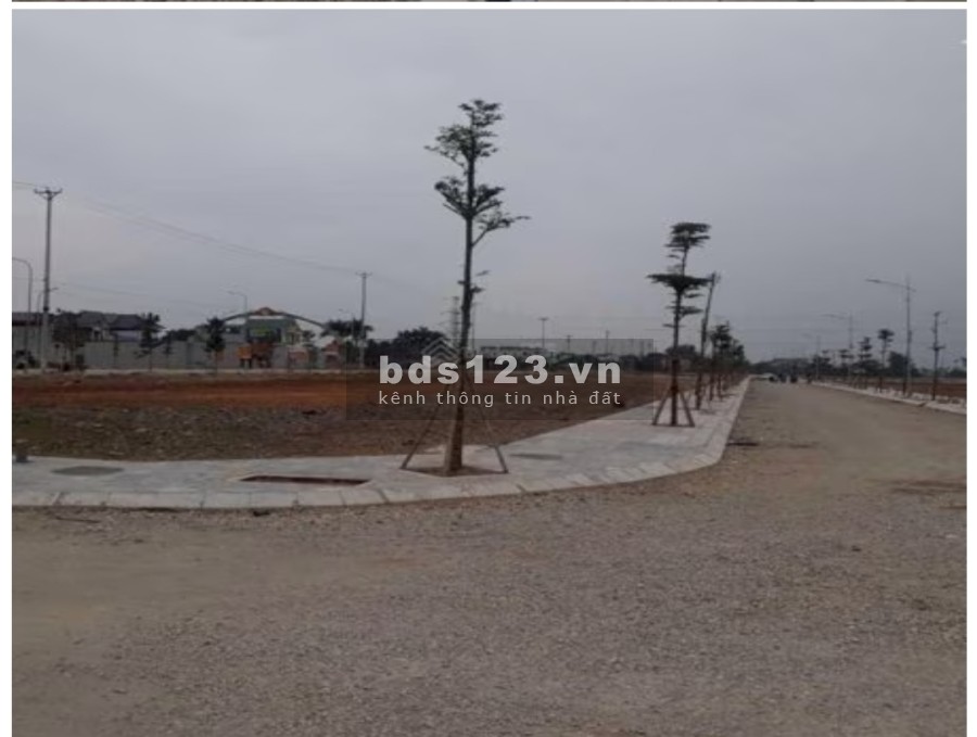 Mở bán độc quyền 100 lô Triệu Sơn central, giá hấp dẫn các NĐT liên hệ để có giá tốt