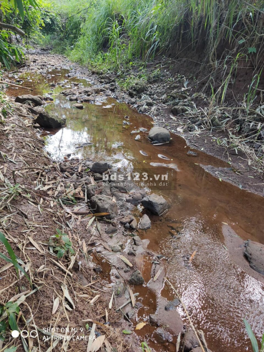 Chính chủ bán đất Vũng Tàu thích hợp đầu tư phân lô, nghĩ dưỡng, sổ riêng chính chủ