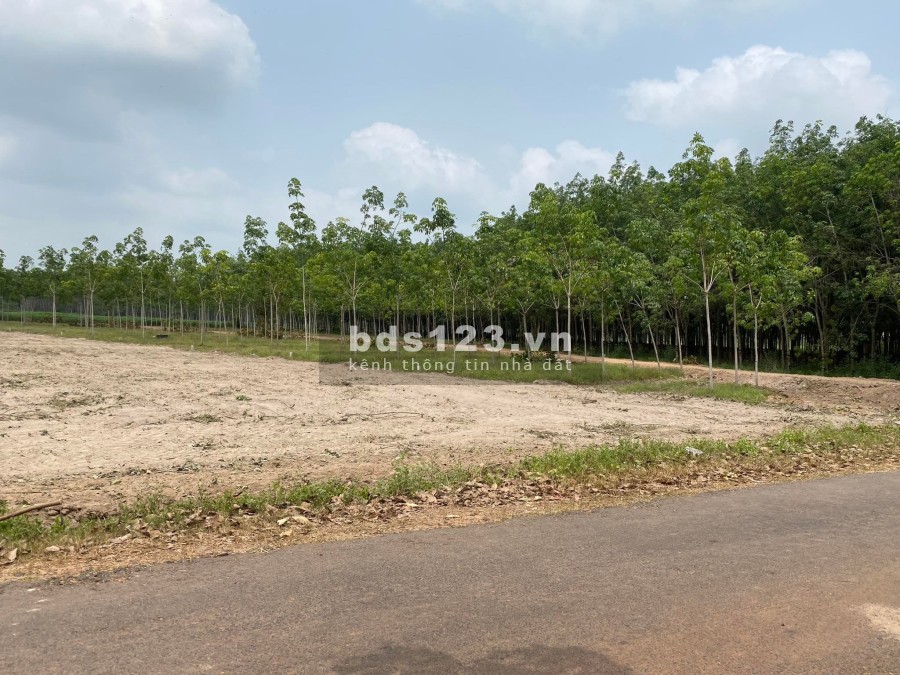 Em có vài lô đất full thổ cư ở Dương Minh Châu cần bán gấp hỗ trợ vay, liên hệ 0971054273