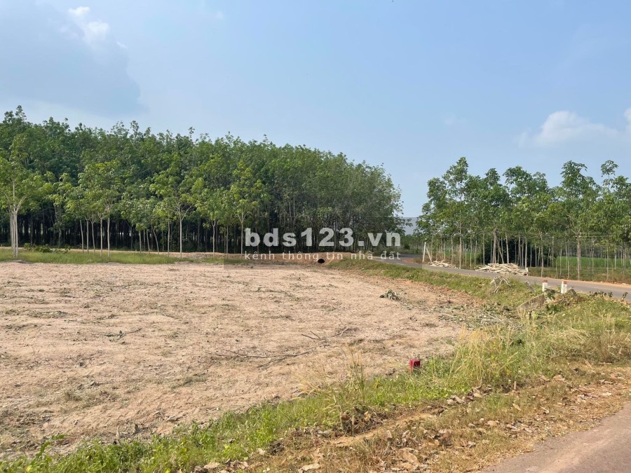 Em có vài lô đất full thổ cư ở Dương Minh Châu cần bán gấp hỗ trợ vay, liên hệ 0971054273