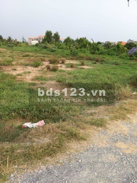 Bán đất thổ cư sổ hồng riêng Bình Mỹ Củ Chi diện tích gần 4000m2, khu dân cư đông đúc