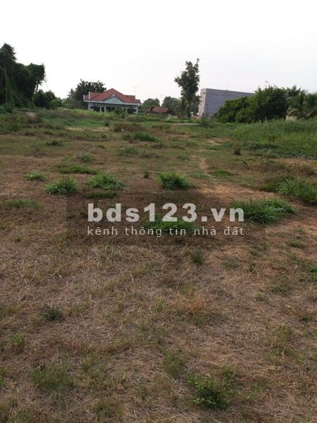 Bán đất thổ cư sổ hồng riêng Bình Mỹ Củ Chi diện tích gần 4000m2, khu dân cư đông đúc