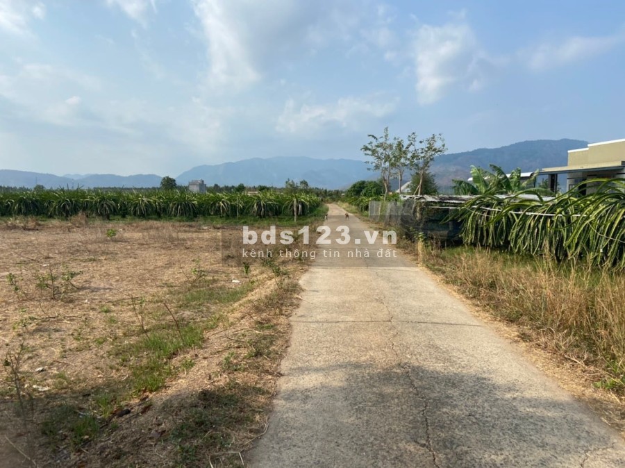 Bán 10.000m2 chỉ có 3,5 tỉ- thích hợp đầu tư mặt tiền chính đường bê tông 150m mặt phụ 70m