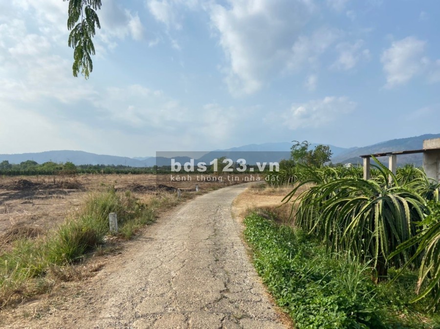 Bán 10.000m2 chỉ có 3,5 tỉ- thích hợp đầu tư mặt tiền chính đường bê tông 150m mặt phụ 70m