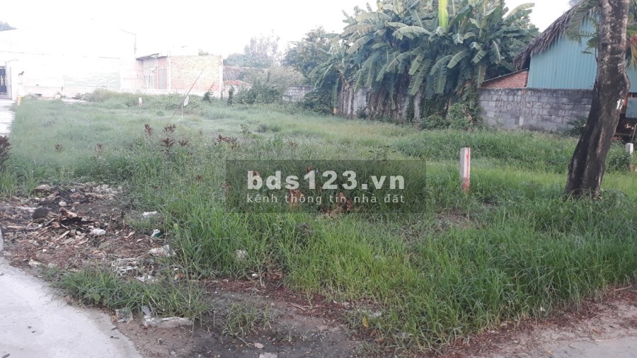 Bán đất hơn 500m2 chính chủ không trung gian đường chính, xe vào tận đất, giá tốt đầu tư