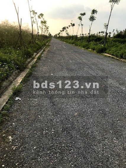 Bán lô góc diện tích sử dụng 152m2, dự án New City Phố Nối, view trường mầm non giá tốt đầu tư