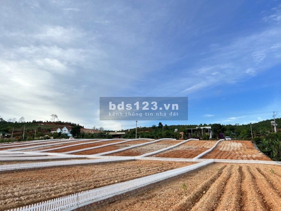 Cần bán lô đất Mê Linh chính chủ đầy đủ giấy tờ, giá đầu tư sinh lời cao, bàn giao công chứng ngay