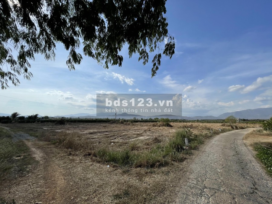 Bán 10.000m2 chỉ có 3,5 tỉ- thích hợp đầu tư mặt tiền chính đường bê tông 150m mặt phụ 70m