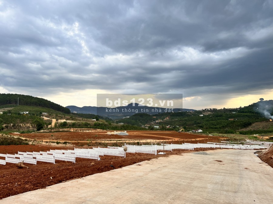 Cần bán lô đất giá đầu tư F0, cam kết rẻ nhất tại xã Nam Hà giá bán 1.125 tỷ, đầu tư sinh lời