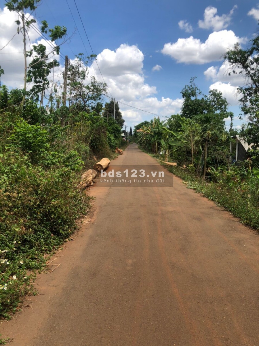 Chính chủ bán đất Vũng Tàu thích hợp đầu tư phân lô, nghĩ dưỡng, sổ riêng chính chủ