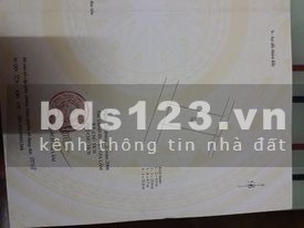 Bán lô đất chính chủ Cửu Việt Trâu Quỳ, kinh doanh đỉnh, ô tô đỗ, liên hệ xem đất 0988765746