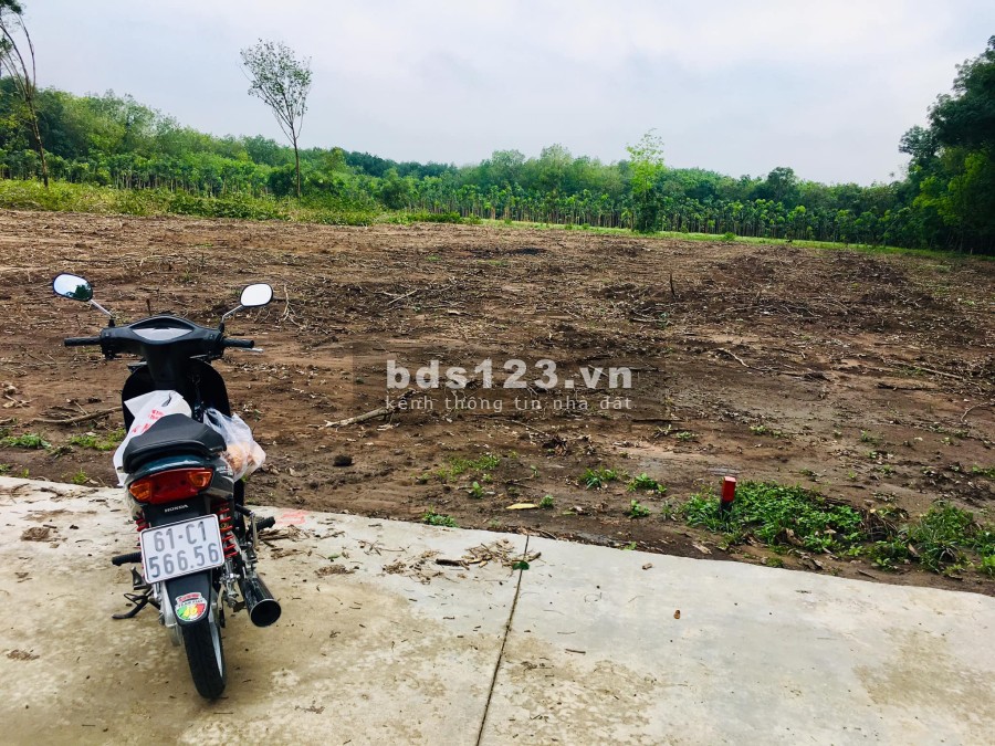 Đất nền Bình Phước giá rẻ, sổ sẵn, 100m thổ cư tiện ích đầy đủ, giá tốt, chiết khấu cao