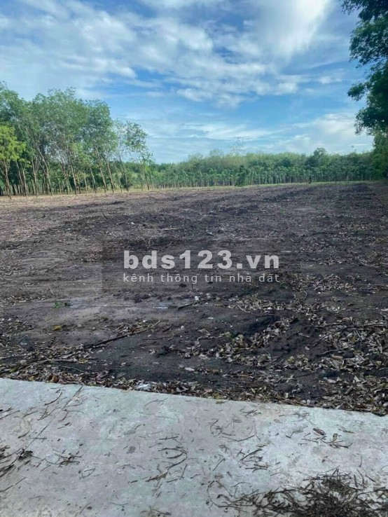 Đất nền Bình Phước giá rẻ, sổ sẵn, 100m thổ cư tiện ích đầy đủ, giá tốt, chiết khấu cao