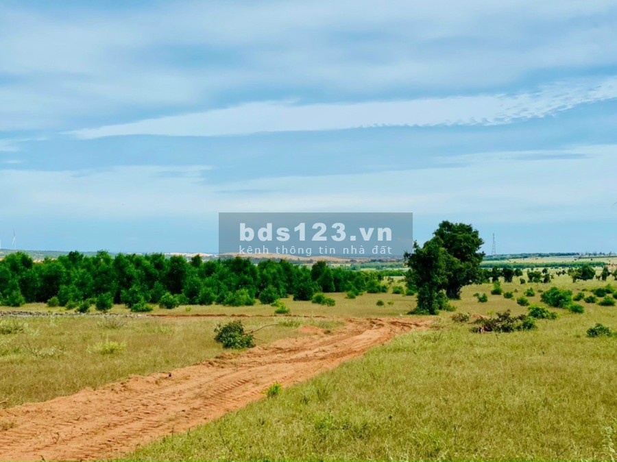 Cần bán đất ở xã Hòa Thắng, vị trị gần khu du lịch Bầu Trắng và gần biển cách khoảng 3-4km.
