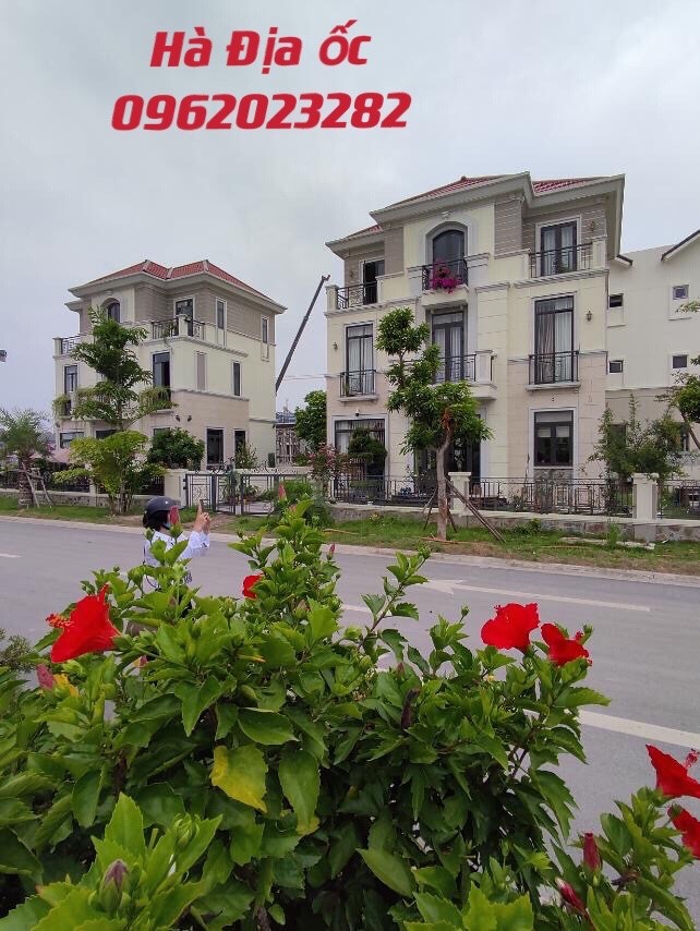 Bán biệt thự giá rẻ, chỉ còn duy nhất 1 căn tại khu đô thị Vsip Từ Sơn Bắc Ninh giá đầu tư