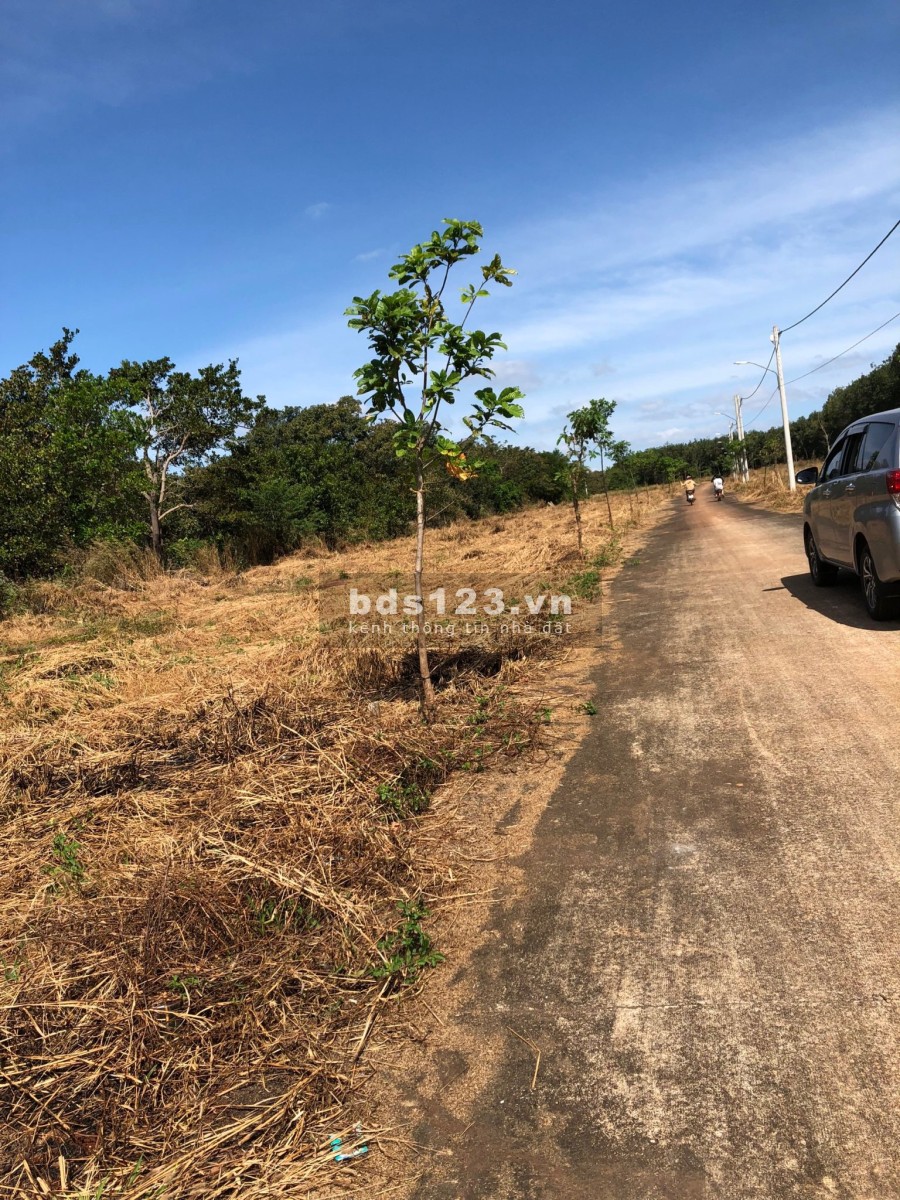 Bán lô đất trung tâm hành chính thị xã Phước Long 479 triệu sổ hồng riêng giá đầu tư F0