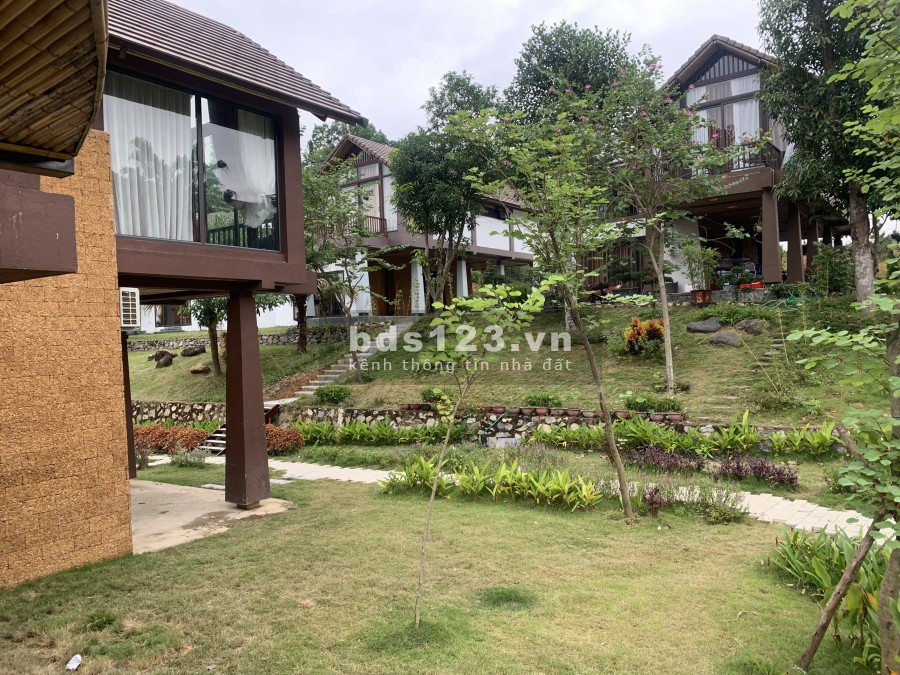 Chính chủ bán gấp biệt thự đơn lập Thang Mây Village 287,5m2, cạnh Hồ Bản Xôi, giá rẻ hơn cđt 2 tỷ