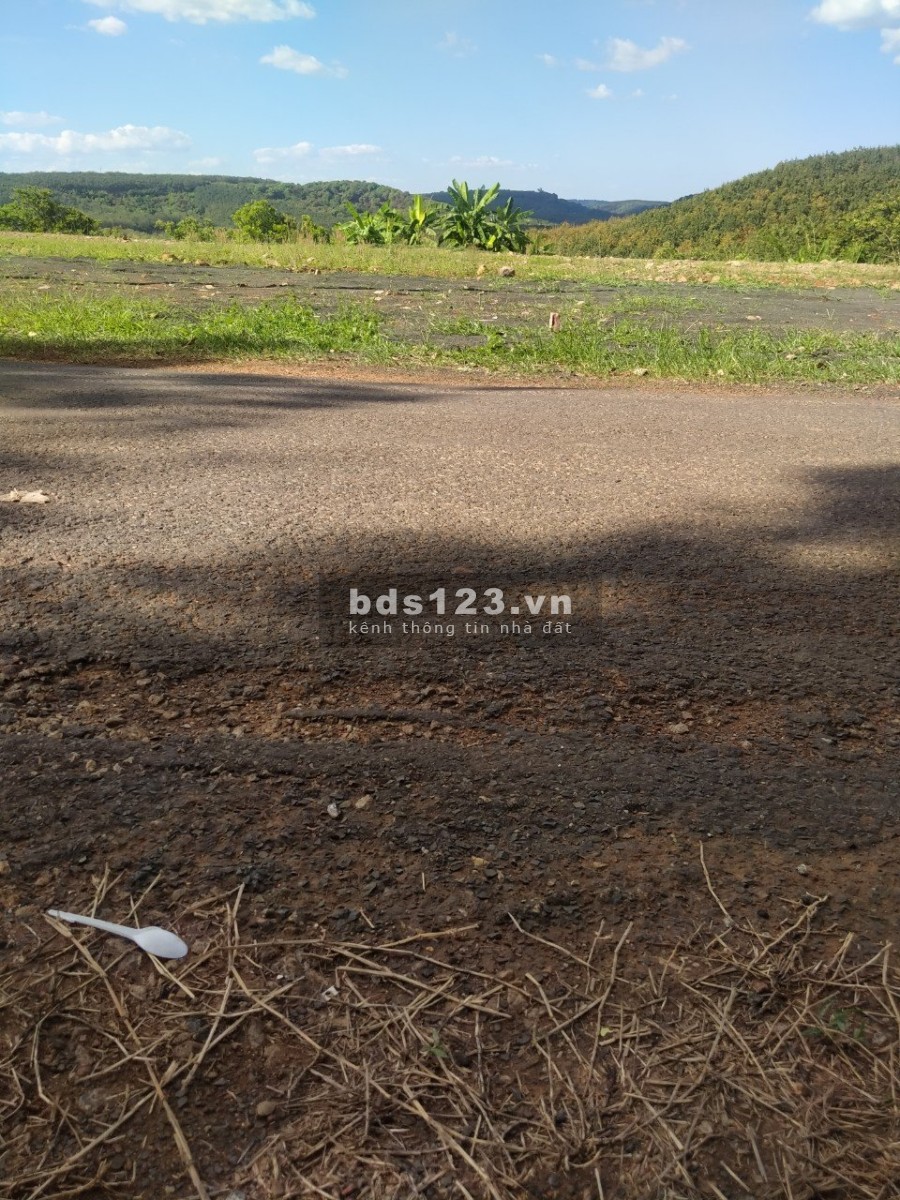 Cần bán gấp đất Tân Lợi Đồng Phú, diện tích 1000m2, giá 300 triệu hổ trợ pháp lý, giá tốt