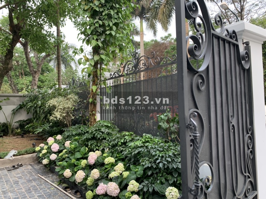 Bán biệt thự khu đô thị Ciputra Hà Nội, pháp lý rõ ràng, giá tốt đầu tư sinh lời, khu an ninh