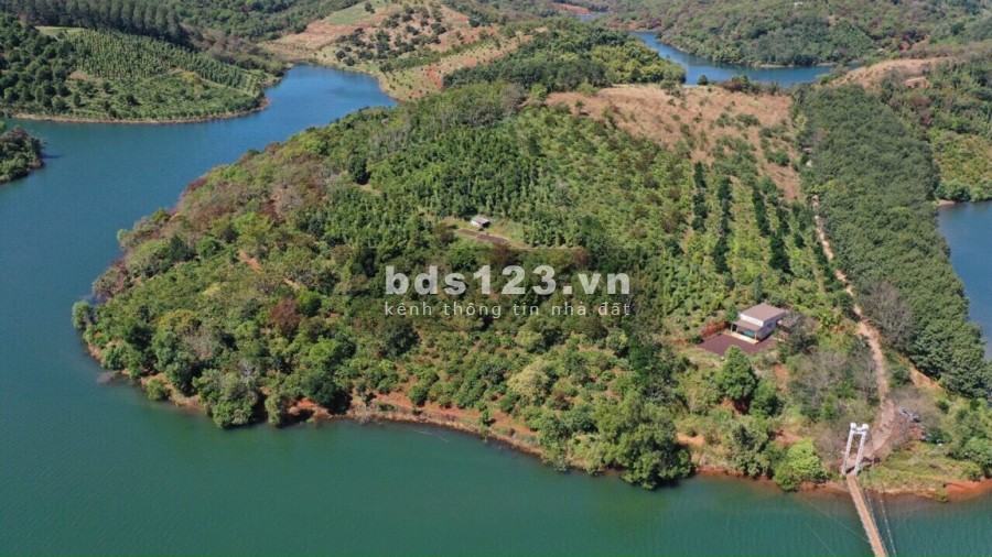 Đất view hồ Dak Nông có sổ sẳn, còn vài lô cuối cùng sang tên ngay pháp lý rõ ràng