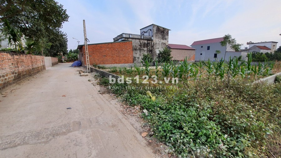 Bán đất sổ đỏ chính chủ 300m thôn 5 Phú Cát, Quốc Oai liên hệ xem đất 0986281113