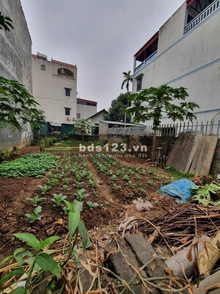 Bán đất, Xuân Nộn, Đông Anh, Ô tô 7 chỗ vào tận đất, diện tích 99.9m2, giá bán 1,75 tỷ