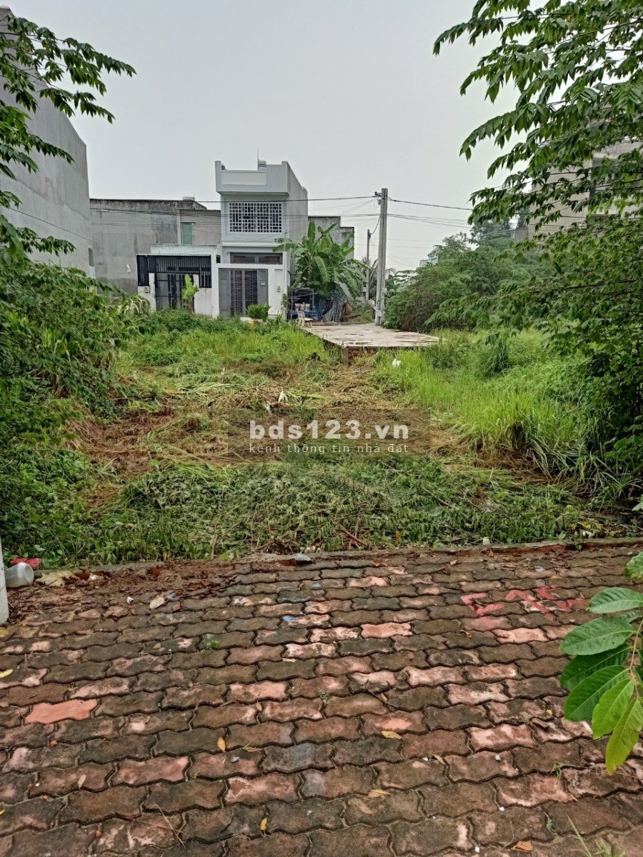 Bán đất đẹp quận 9 đường số 6 phường Long Bình sổ hồng chính chủ, bàn giao ngay