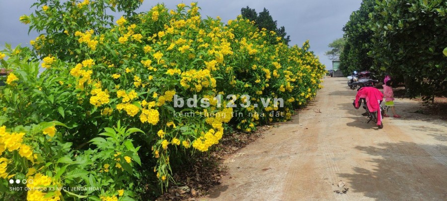 Bán gấp 2 lô đất liền kề giá rẻ khu dân cư, đường lớn, xe vào tận đất, sổ đầy đủ