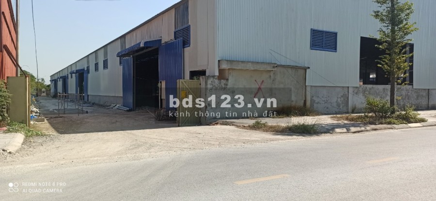 Chân cầu Thăng Long cho thuê diện tích 4000m2 tại xã Hải Bối Đông Anh Hà Nội