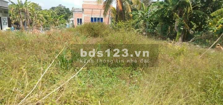 Đất thổ cư Bình Lương Thủ Thừa Long An gái bán 520 triệu thổ cư 100%, pháp lý chính chủ