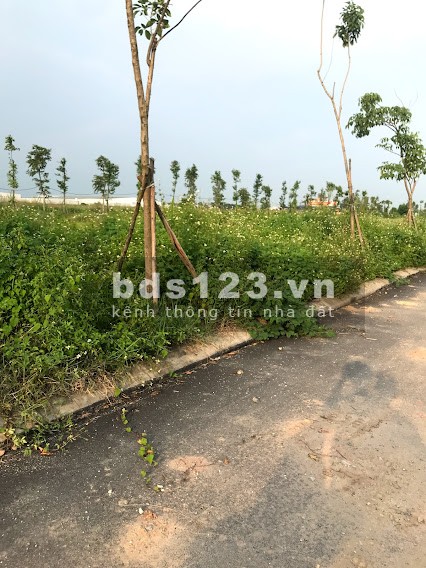 Bàng hàng 10 lô góc độc quyền dự án New City Phố Nối giá bán 15 triệu/m2, sổ sẵn