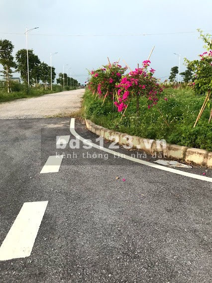 Bàng hàng 10 lô góc độc quyền dự án New City Phố Nối giá bán 15 triệu/m2, sổ sẵn