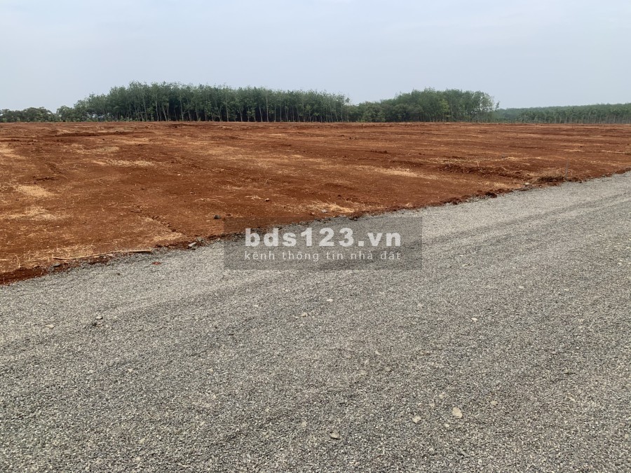 Đất xào ngay DT741 cách tttm Phú Riềng 1,5km giá bán 720 triệu, ngân hàng hỗ trợ vay