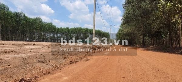 HOT!!!! Siêu phẩm dự án F0 vị trí đắt địa đối diện KCN An Linh Phú Giáo Bình Dương