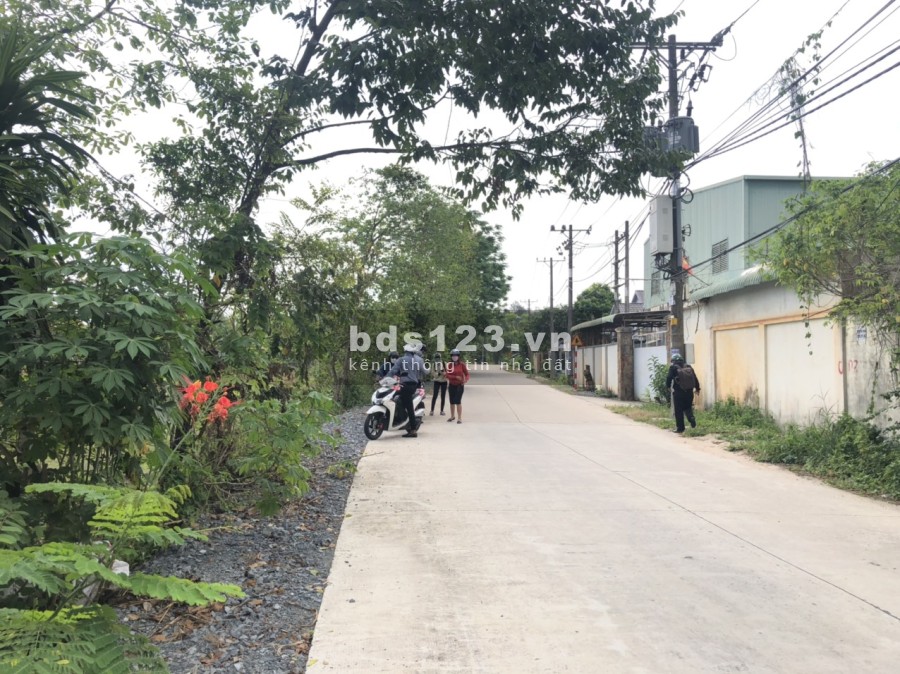 Bán đất nền Củ Chi siêu hót giá siêu mềm để đầu tư, sổ riêng từng nền giá tốt đầu tư