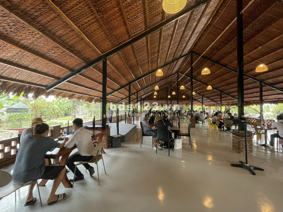 Nhận giữ chỗ dự án KDC Quốc Linh Diamond City Đức Hoà, 1 tỷ 800, SHR, giá từ CĐT