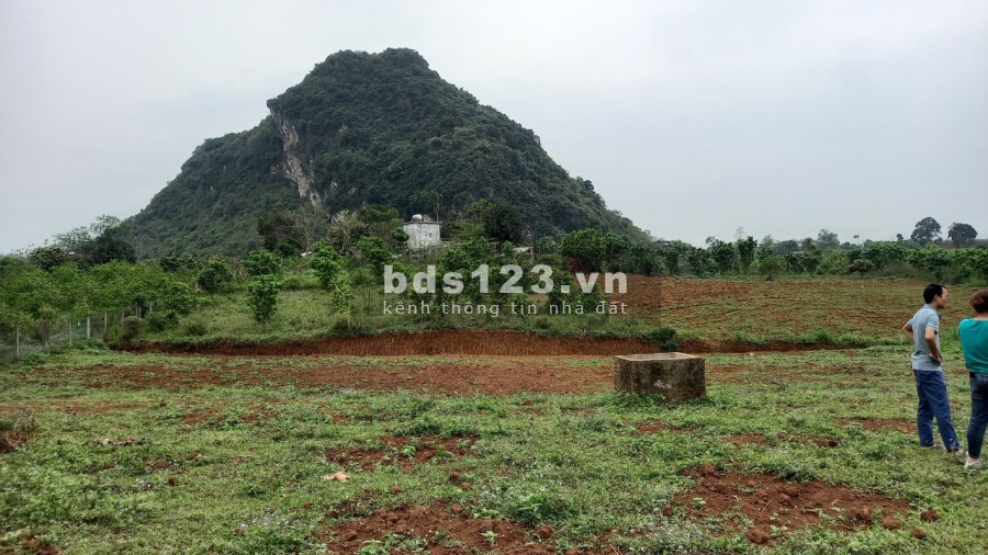 Mở bán lô đất tiềm năng tại Cao Phong - Hòa Bình khu dân trí cao, sổ sẵn chính chủ