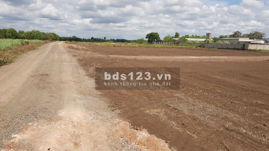 Bán đất khu công nghiệp bàu Xéo chỉ với hơn 300 triệu/lô, pháp lý chính chủ, tiện ích đủ