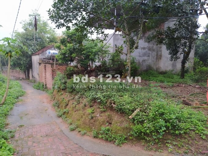 Bán đất nhà vườn 445.5m - Long Khám - Việt Đoàn giá bán chỉ 5 triệu/m2 bàn giao đủ giấy tờ