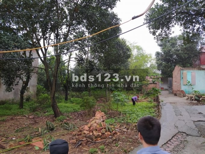 Bán đất nhà vườn 445.5m - Long Khám - Việt Đoàn giá bán chỉ 5 triệu/m2 bàn giao đủ giấy tờ