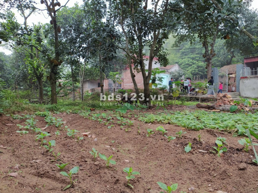 Bán đất nhà vườn 445.5m - Long Khám - Việt Đoàn giá bán chỉ 5 triệu/m2 bàn giao đủ giấy tờ