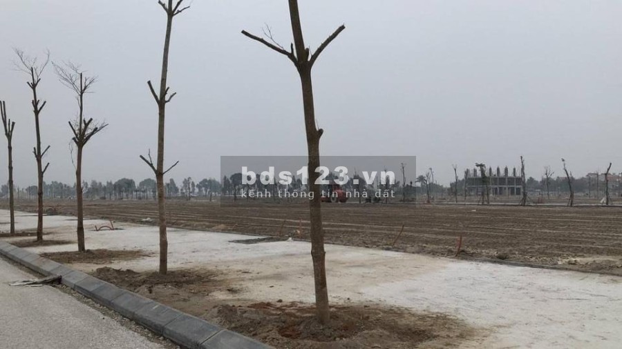 Dự Án Cẩm Chế - Thanh Hà - Thành phố Hải Dương bàn giao sổ đỏ lâu dài pháp lý chính chủ