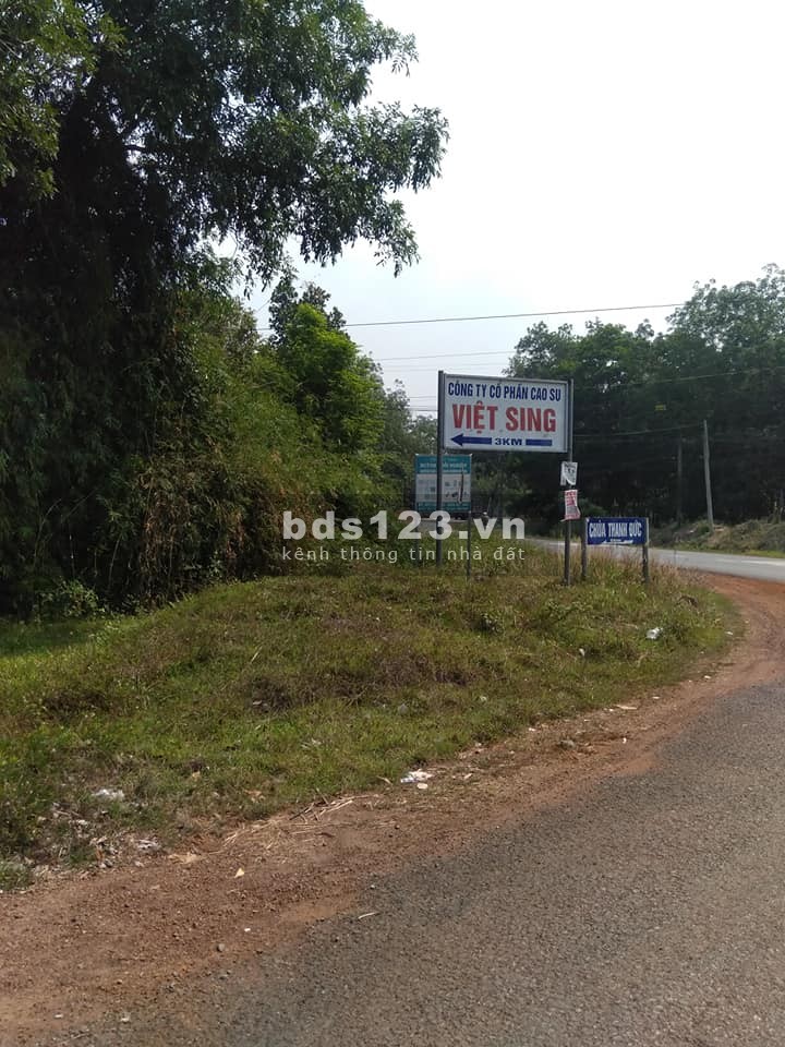 Chính chủ cần bán đất xã Minh Tân, huyện Hớn Quản, tỉnh Bình Phước, liên hệ 0982867157