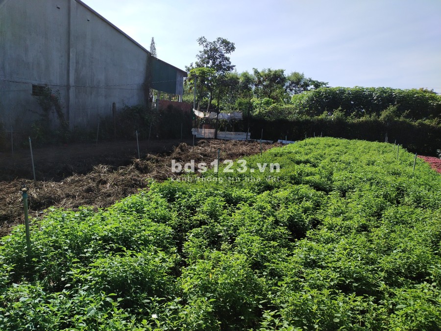 Bán đất chính chủ 10x22 m gần ngã 3 Duy Hòa TP Buôn Ma Thuột