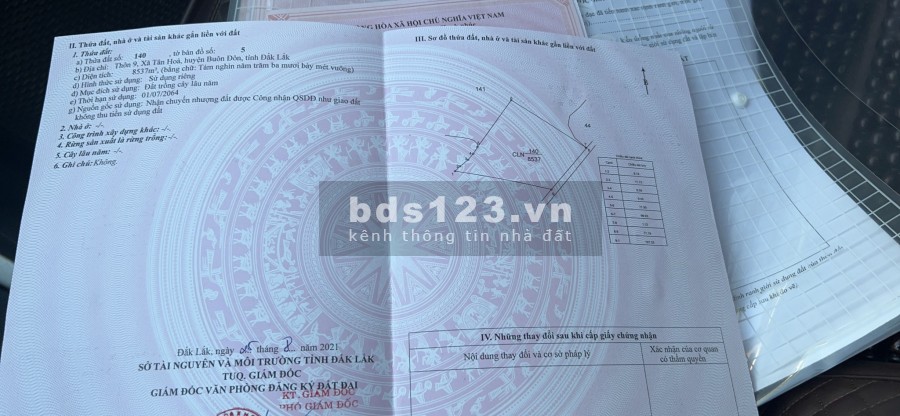 Bán gấp 8 sào đất mặt tiền đường Thuỷ Điện 3, giá rẻ nhất khu vực hiện tại, đầu tư sinh lời